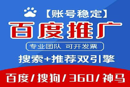 某电商平台信息流竞价策略及成效分析