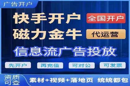 某电商平台的SEM推广实践与效果展示